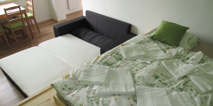 Pohodový pobyt v komfortním apartmánu na Šumavě až pro 4 osoby