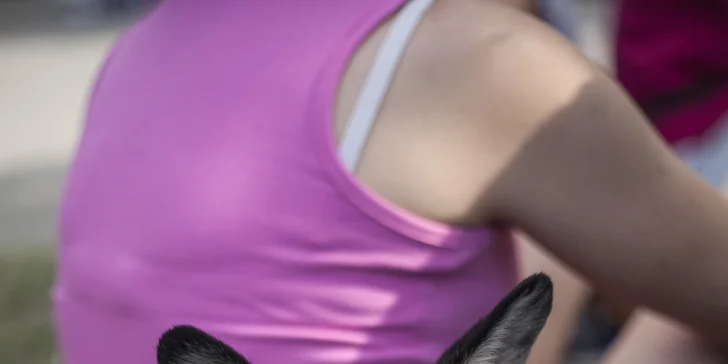 Bez vaší pomoci by se nezisková zařízení zkrátka neobešla. 