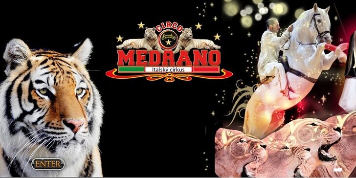 Vstupenka na Italský cirkus Medrano v neděli 19.5.2013