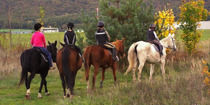 Hodina v sedle: Příprava koně i vyjížďka po okolí nebo v jízdárně