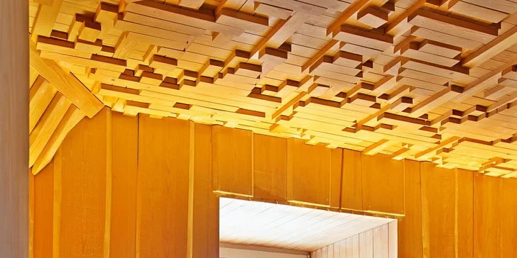 Odpočívejte jako král: 2 hodiny wellness v Hotelu Zlatý Lev