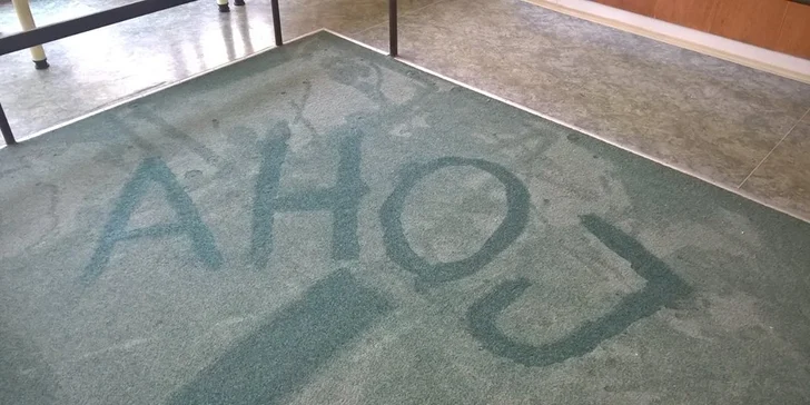 Profesionální čištění koberců nebo sedacích souprav u vás doma