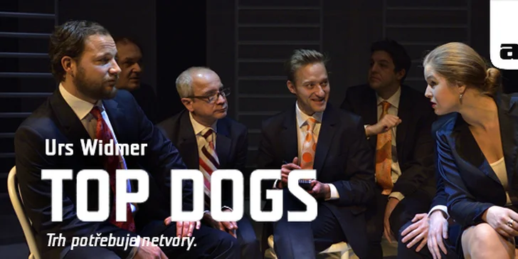 Top Dogs od Urse Widmera: Hra o osudech lidí z top managementu (7 .3. 2017)