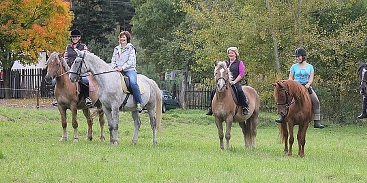 Vyjížďky na koních pro děti i dospělé - zažijte nejkrásnější pohled na svět