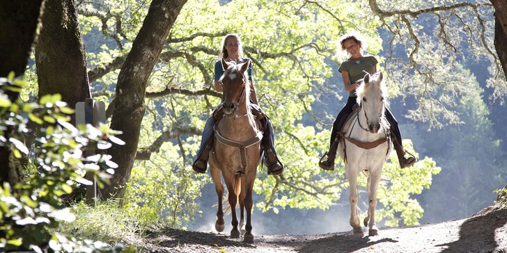 Výlet za koňmi: Projížďka na koni v přírodě pro dospělé i děti