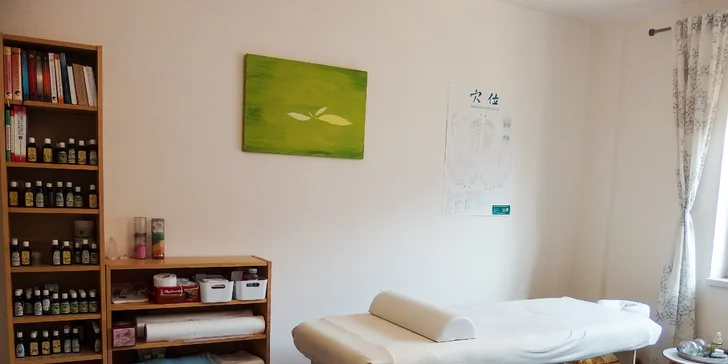 Diagnostika zdraví z oční duhovky, jazyka a pulzu