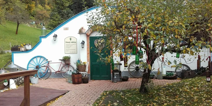 V nabídce je i varianta voucheru s degustací vína ve sklípku – tak nechte děti u babičky a vyrazte s kamarády.