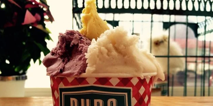 Milkshake z oblíbené gelaterie: fantastické gelato, bio mléko a šlehačka