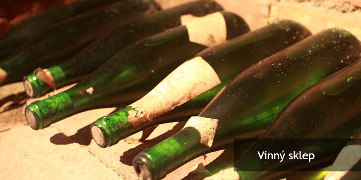 Pobyt s polopenzí a ochutnávkou vín ze Znojemské vinařské podoblasti