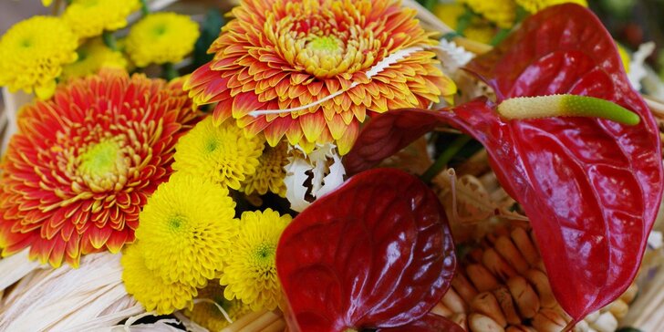 Naučte se kreativně vázat a aranžovat podzimní květiny na kurzu Carmen Flora