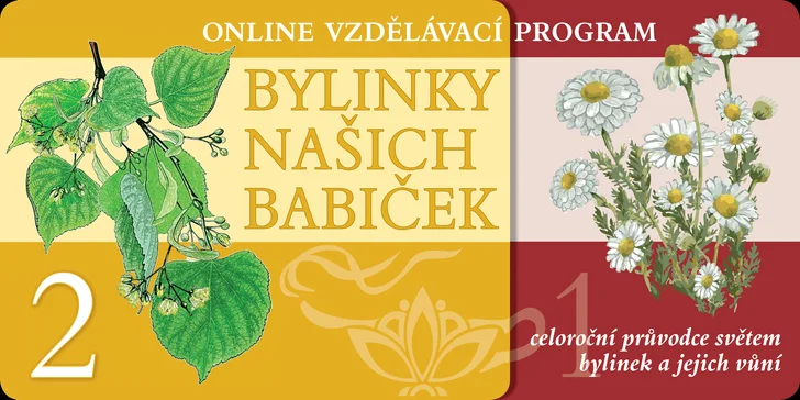 Díky online programu Bylinky našich babiček se v této oblasti snadno vzděláte.