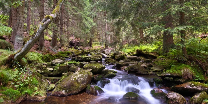 3 pohodové dny s polopenzí nebo plnou penzí a saunou pro dva v Krkonoších
