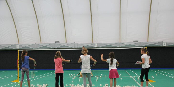 Hodinový pronájem badmintonového kurtu na Malešicích - platí pro všední dny