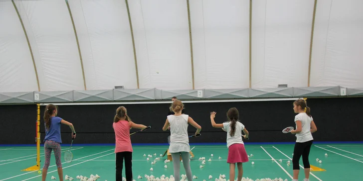 Hodinový pronájem badmintonového kurtu ve všední dny