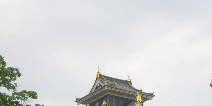 Seznamte se s japonštinou: 1 nebo 5 individuálních lekcí pro dospělé i děti