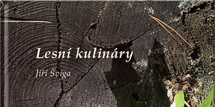 Vstupenka na veletrh a festival současné fotografie FOTOEXPO + kniha fotografií