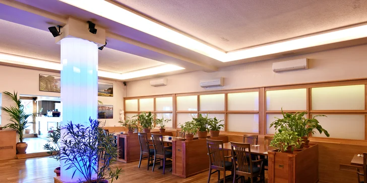 Tradiční řecké menu s předkrmem, mísou plnou masa, tzatziki a dezertem