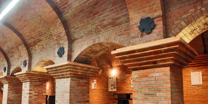 Zážitkový vinařský pobyt na Slovácku: famózní víno, degustace i wellness
