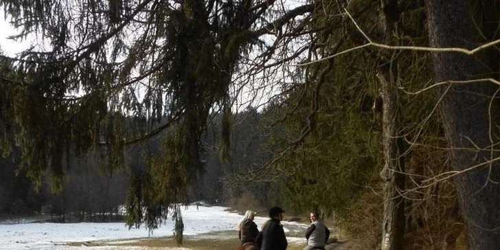 Tři dny nerušeného relaxu v přírodě na Vysočině pro dvě osoby s polopenzí
