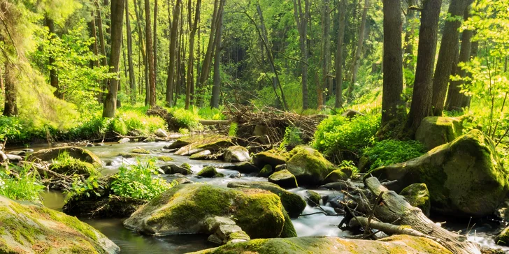 Tři dny nerušeného relaxu v přírodě na Vysočině pro dvě osoby s polopenzí
