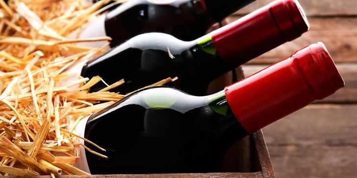 Dárkové sety svatomartinských vín z Vinotéky Ptácká - 2, 3 nebo 4 lahvinky