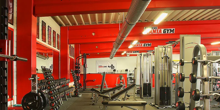 Zacvičte si zkusmo: Časově neomezená návštěva Fitness Mania Gym