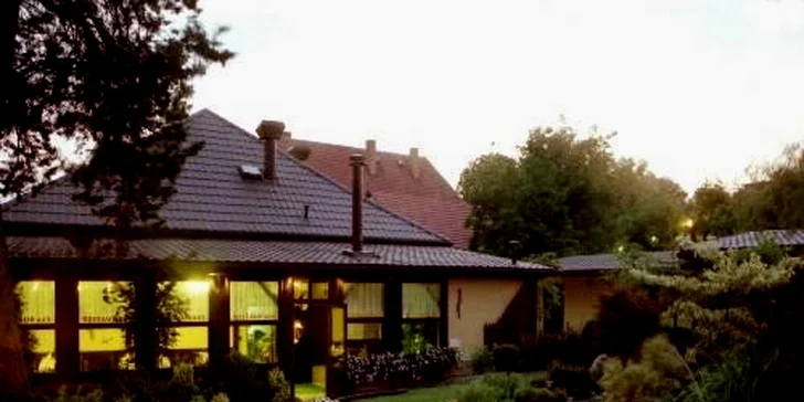 1 kg výborných smažených kuřecích křidélek s farmářskou omáčkou a chlebem