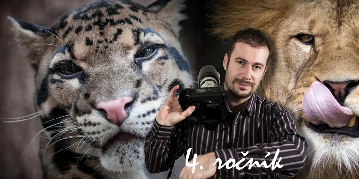 Fotografujte zvířata (nejen v zoo) jako profesionálové