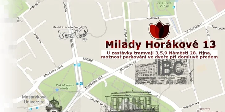 Hladká pokožka: trvalá epilace vybrané partie zdravotnickým IPL přístrojem