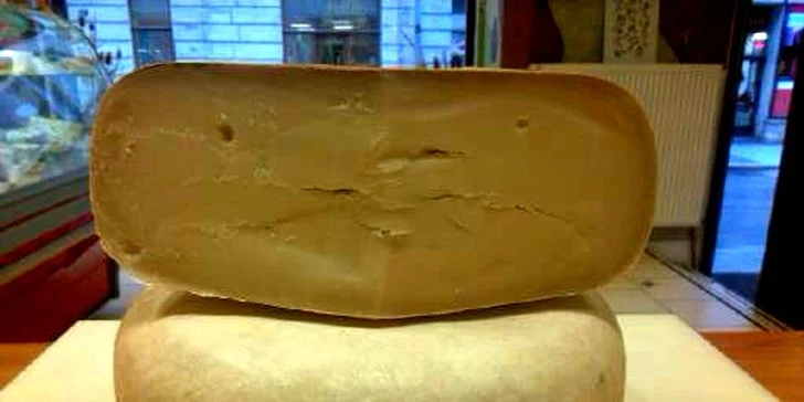Holandské a švýcarské vynikající sýry z Cheesy