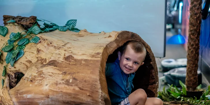 Darujte zážitek - vstupenka do světa fantazie v Muzeu Karla Zemana