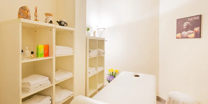 Poznejte všechny krásy Vídně: Vienna Sporthotel****pro 2 osoby