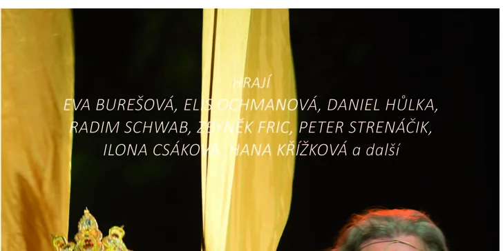 Dárková brožura vč. 8 volných vstupenek na vybrané muzikály Musical Production