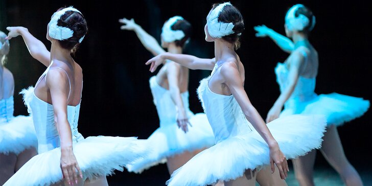 Labutí jezero: Baletní představení velkolepého uměleckého souboru z Petrohradu