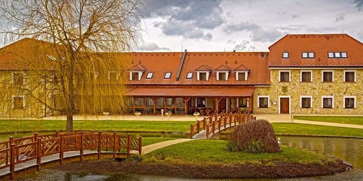 Prázdninový relax: wellness, sport i balneo procedury a polopenze