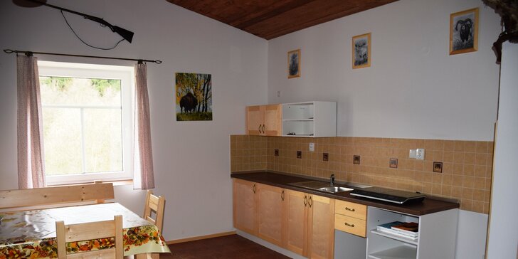 Dovolená v apartmánu v Adršpašsko-teplických skalách pro dva i rodinu