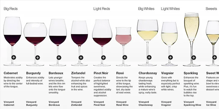 Domácí sommelier: odborný vinařský kurz spojený s degustací výběrových vín