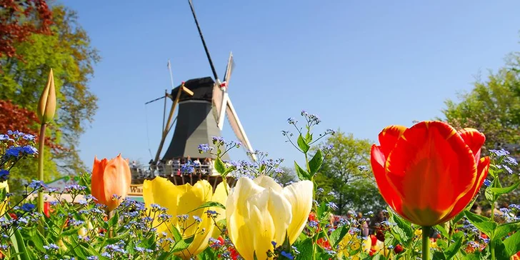 Keukenhof, Zaanse Schans, Volendam, Amsterdam s ubytováním na 1 noc a snídaní