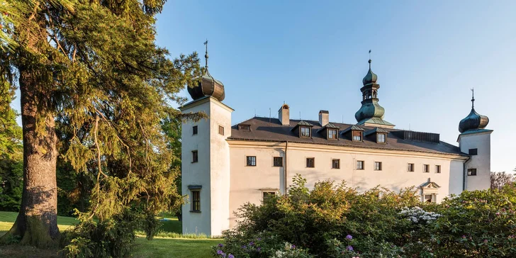 Kouzelný pobyt v Třešti: Wellness pobyt na zámku pro 1 nebo 2 osoby