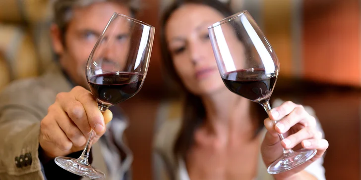 Třídenní pobyt na jižní Moravě: Snídaně i pobyt ve sklípku s degustací vín