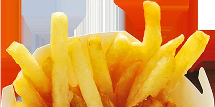 Svačina z grilu: Telecí či kuřecí kebab s hranolky, salátem a dresinkem