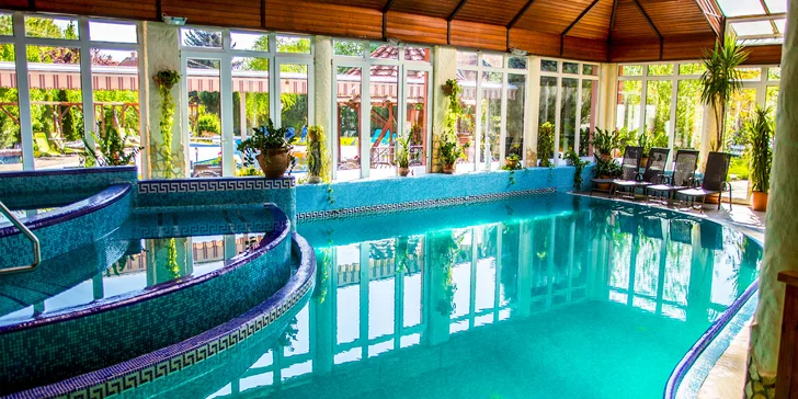Skvělý pobyt u Dunaje: neomezený vstup do wellness, bohatá polopenze