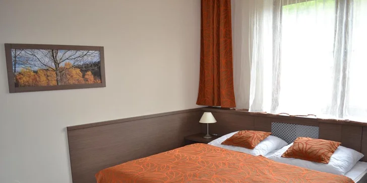 Apartmány, v ktorých budete ubytovaní, sú vybavené kúpeľňou so sprchovacím kútom, LCD televízorom, stolom, kuchyňou aj jedálňou, dvojlôžkovou spálňou a obývacou izbou s rozťahovacou pohovkou.