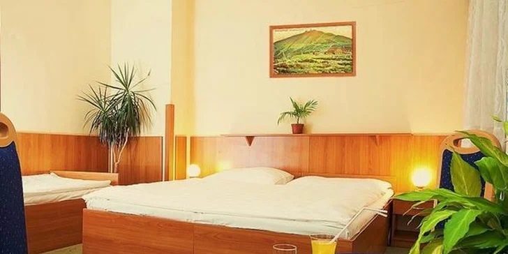 Báječná dovolená pro dva v hotelu v Krkonoších
