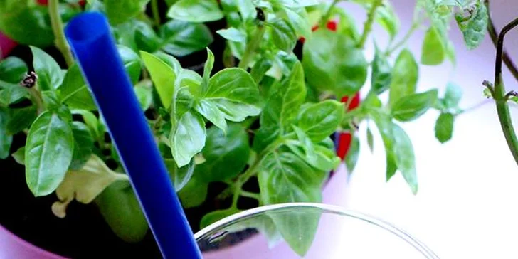 Nabuďte se dávkou vitamínů ze Živé Zahrady - 400 ml libovolného smoothie