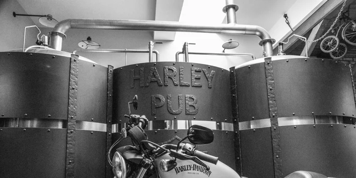 Setkání s legendou: Vstup do největšího muzea Harley-Davidson v Evropě