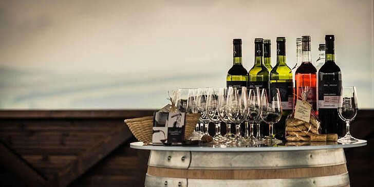 Zážitek pro fajnšmekry: Degustace prémiových moravských vín