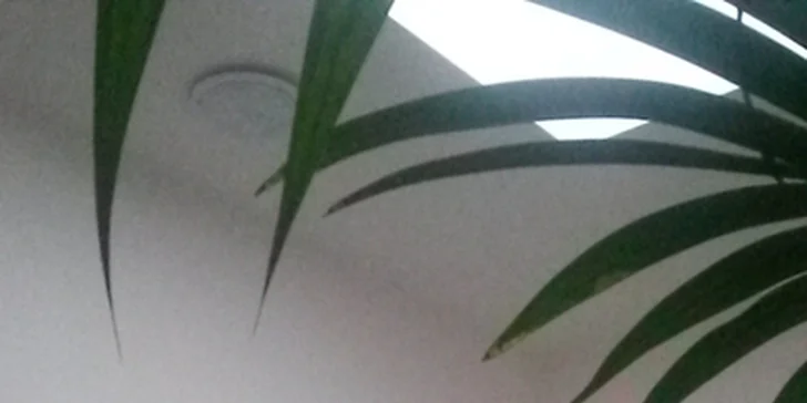 Uvolňující masáže Happy Wellness s možností antistresové masáže hlavy