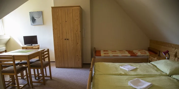 Léto v Janských Lázních u Stezky korunami stromů a polopenze