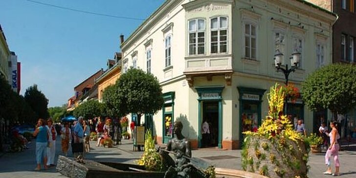 Relax v maďarských termálních lázních Győr včetně vstupenky pro jednoho